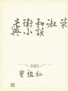 老卫和淑荣的经典小说