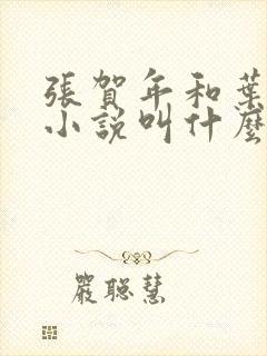 张贺年和叶繁姿小说叫什么名字封面