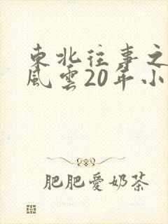 东北往事之黑道风云20年小说