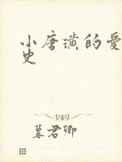 小唐璜的爱情历史