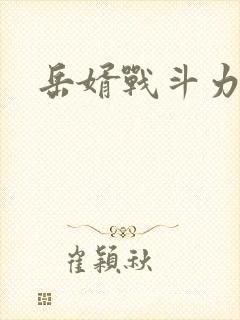 岳婿战斗力