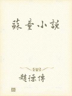 苏童小说