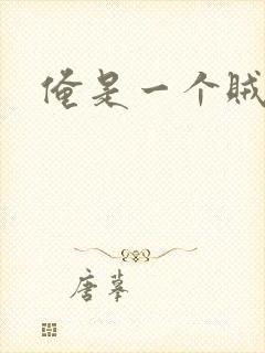 俺是一个贼