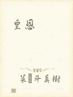 皇恩封面