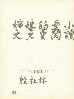 婶娘的爱小说全文免费阅读封面