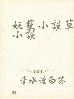 妖孽小说草莓酱小说