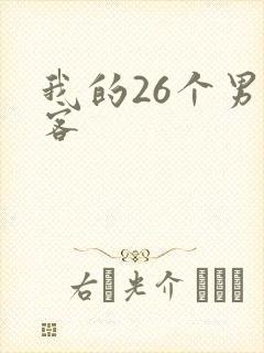 我的26个男房客封面