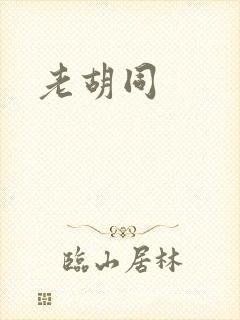 老胡同