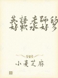 英语老师的兔子好软水好多