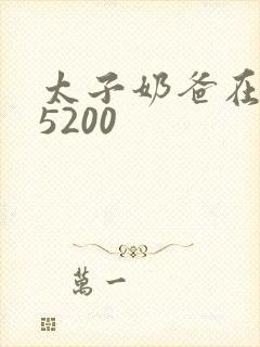 太子奶爸在花都5200