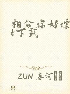 相公你好坏txt下载