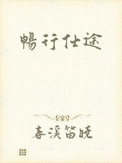 畅行仕途封面
