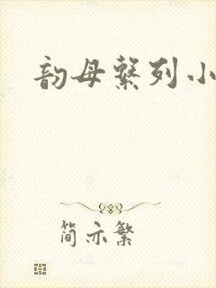 韵母系列小说
