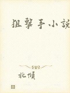狙击手小说