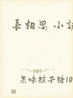 长相思 小说