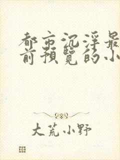都市沉浮最快超前预览的小说3030