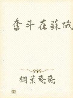 奋斗在苏俄封面
