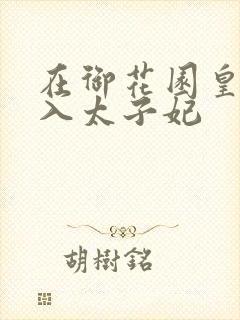 在御花园皇上进入太子妃封面