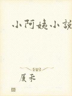 小阿姨小说封面