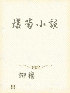 爆菊小说