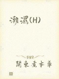 潮湿(H)