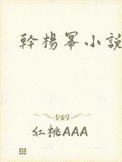 干杨幂小说