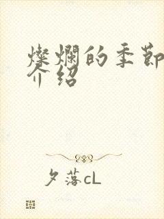 灿烂的季节剧情介绍