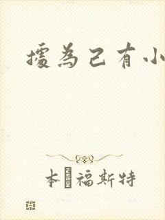据为己有小说