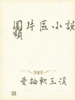 图片区小说区视频