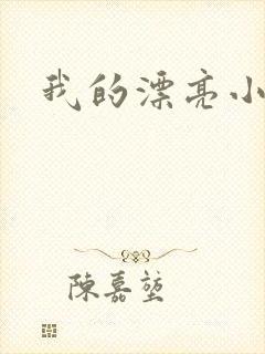 我的漂亮小后妈