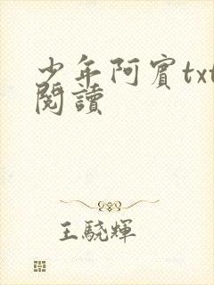 少年阿宾txt阅读