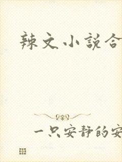 辣文小说合集