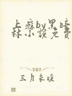 上瘾by黑暗森林小说免费