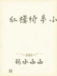 红楼绮梦小说