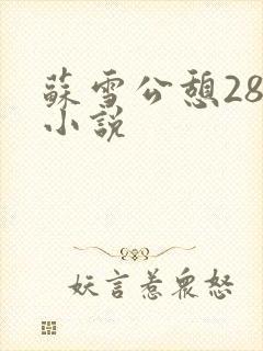 苏雪公憩28篇小说封面