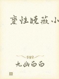 变性晓薇小说封面