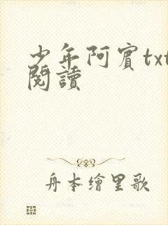 少年阿宾txt阅读