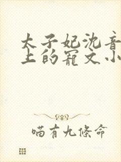 太子妃沈音和皇上的宠文小说
