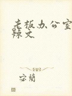 老板办公室系列辣文