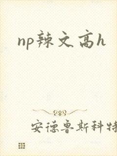 np辣文高h