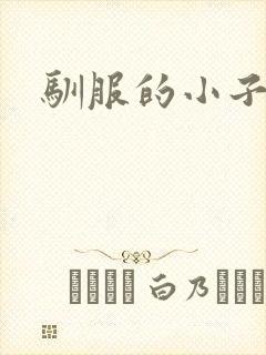 驯服的小子4