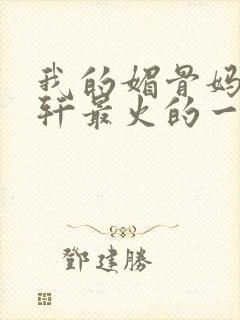 我的媚骨妈妈林轩最火的一句封面