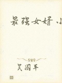 最强女婿 小说封面