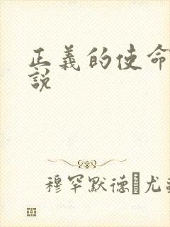 正义的使命 小说封面