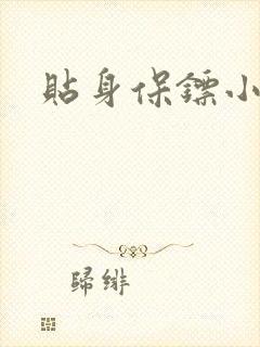 贴身保镖小说