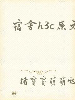 宿舍h3c原文