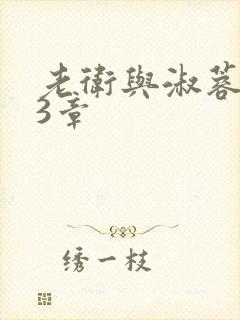 老卫与淑蓉第13章