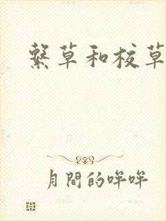 系草和校草