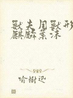 书籍封面