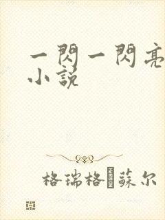 一闪一闪亮星星小说